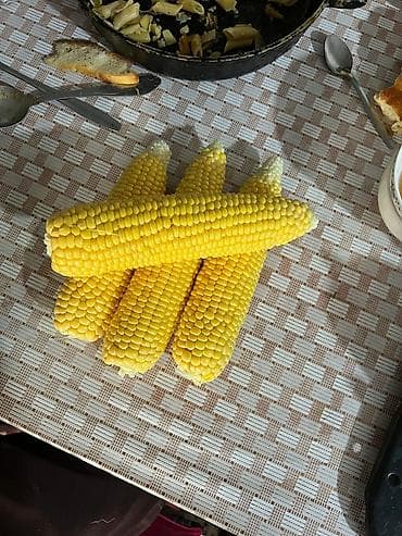 паучья лилия: Кукуруза — 5