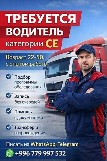 италия: Требуется Водитель грузового транспорта, Категория прав (CE), На фуру, 3-5 лет опыта, Мужчина — 1