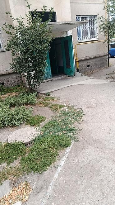сниму квартиру в пишпеке: 3 комнаты, 68 м², 106 серия, 1 этаж, Евроремонт — 1