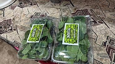 копия ключей: Мята в упаковке килограмм продаю и в коробках - Свежие пучки мяты в — 1