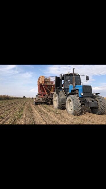 Уборка свеклы, двухрядный комбайн,услуга
любой КамАЗ грузит