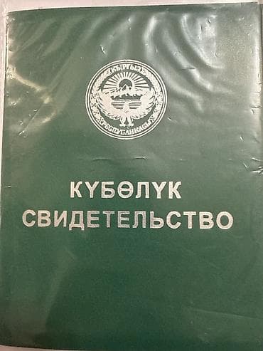 кызыл туу участки: 230 соток, Айыл чарба үчүн, Кызыл китеп — 2
