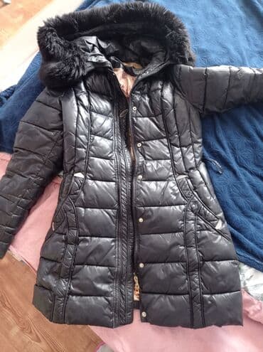 даром коты: Бекер. Размер - М — 4