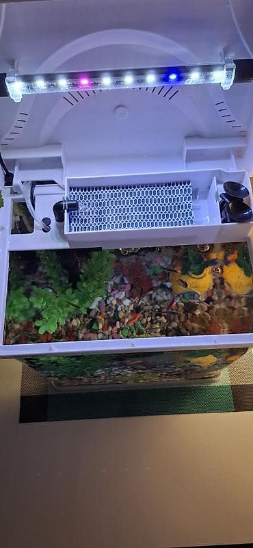 погружной насос для аквариума: Настольный аквариум с оборудованием Xilong 22 литра. ПРОДАЕМ БЕЗ РЫБОК — 2