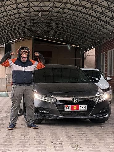 Honda Accord: 2018 г., 1.5 л, Автомат, Бензин, Седан at lalafo.kg Honda Accord: 2018 г., 1.5 л, Автомат, Бензин, Седан