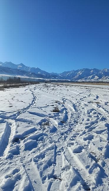 60 соток, Для сельского хозяйства, Договор купли-продажи