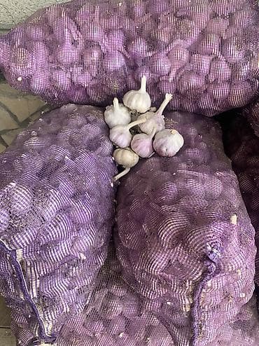 Продукты питания: Чеснок Оптом, Самовывоз, Платная доставка — 2