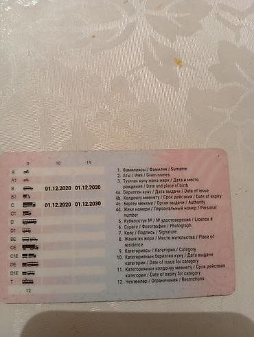 работа в европе водителем: Ищу работу водителя категория в с — 1