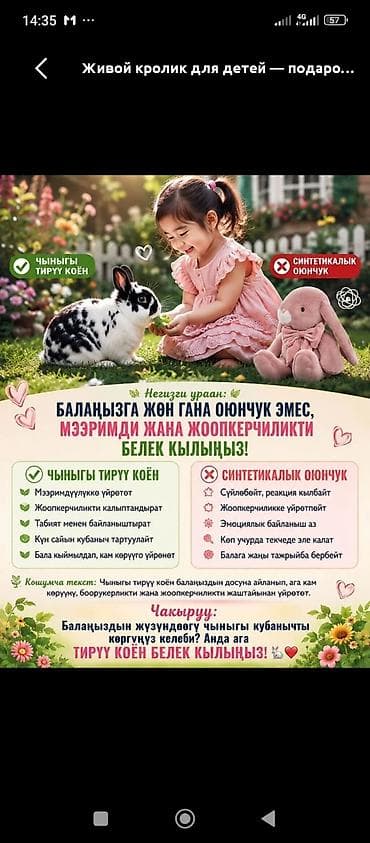 мишка маленький: Живой кролик для детей — трогательный и познавательный подарок. Что — 1