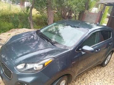 спортивные инструменты: Kia Sportage: 2019 г., 2.4 л, Автомат, Бензин, Кроссовер — 6