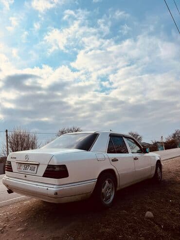 оборудование автомойка: Mercedes-Benz W124: 1994 г., 2.5 л, Автомат, Дизель — 4