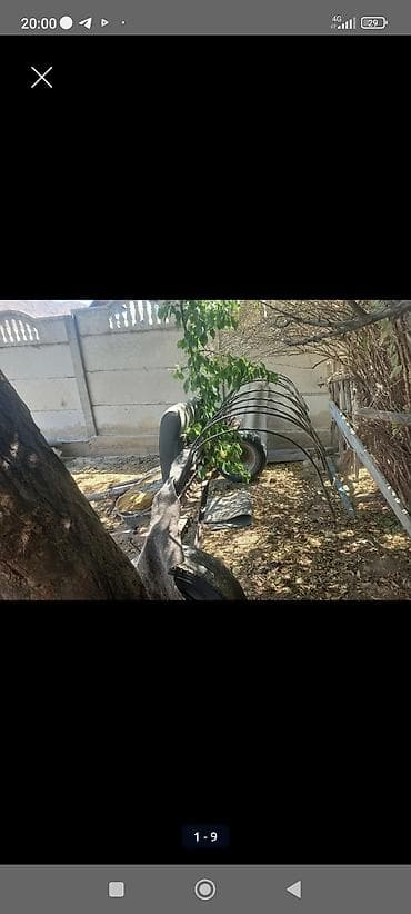 гак айон с: Трактор МТЗ-82 “Беларус Асолом алекум жамат трактордун шаймандар — 6