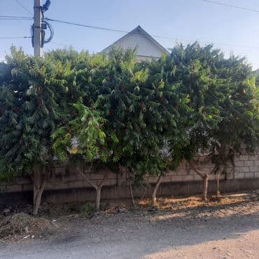 снять дом посуточно: Дом, 120 м², 4 комнаты, Собственник — 5