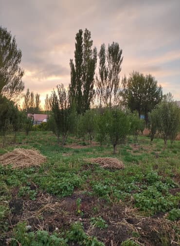 дом рабочем городке: Дом, 68 м², 4 комнаты, Собственник, Старый ремонт — 4
