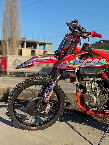 сайты продажи авто в киргизии: Эндуро 300 куб. см, Бензин, Взрослый, Новый — 2