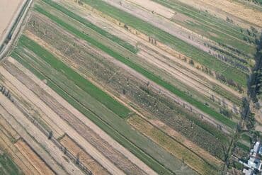 купить семена цветов в бишкеке: 🌳 Продается яблоневый сад – 6 гектаров 🍏 📍 Местоположение: село — 7