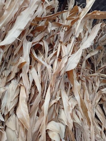 продам домик для кошки: Кукурузная ботва (сухие стебли и листья) - Натуральная сушёная — 1