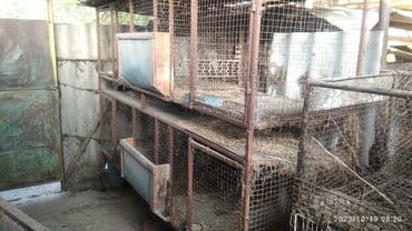 продаю связи с переездом: Клетки для кроликов кур продаю — 2