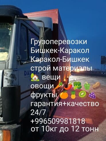 офисные растения: Грузоперевозки — 1