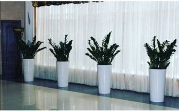 цветочница: Цветочные горшки Лотки, Висячие горшки, Прямоугольные горшки — 13