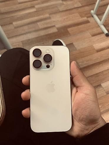IPhone 16 Pro, White Titanium, Кабель