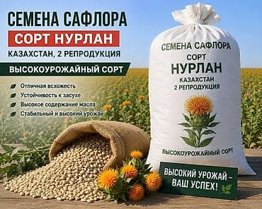 яйца перепелки: Семена сафлора, сорт Нурлан (Казахстан, 2 репродукция) — 1