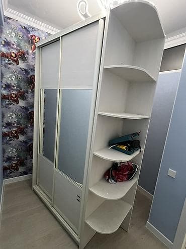 Эмерек: Шкаф-купе с радиусными открытыми полками сбоку. Высота 220, ширина — 3