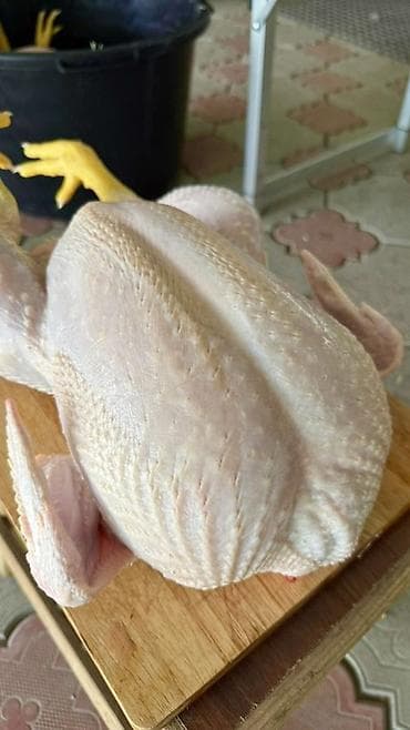 уй порода: Продаем домашних бройлеров — выращены на натуральных кормах с особым — 1