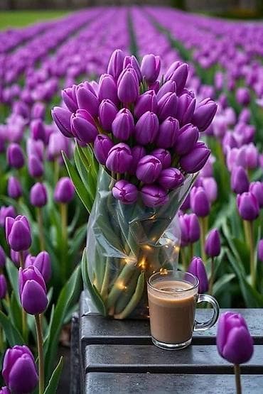 Искусство и коллекционирование: Ищу работу домработницей в порядочной семье. С обязанностями - глажка — 1