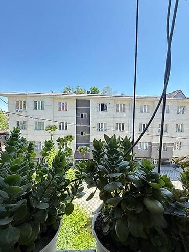 1 комната, 24 м², Элитка, 3 этаж, Косметический ремонт — 9