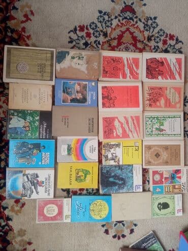 прикормочный кораблик с эхолотом и gps: Продаю или меняю книги, оптом — 1