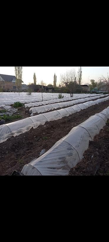 купить дом токмок: Панфиловкадан уй сатылат.кызыл кирпичтен салынган. 2-участок. 10го8уй — 5