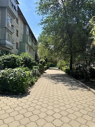 1 комната, 33 м², Хрущевка, 1 этаж, Старый ремонт
