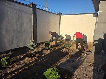 Другие специальности: Ландшафтные работы и озеленение участка - Профессиональная посадка — 1