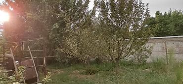 таш завод: Цех, 2300 м² — 9