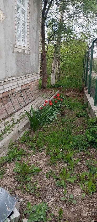 участки дома бишкек новопокровка: 12 соток, Для сельского хозяйства, Красная книга — 7