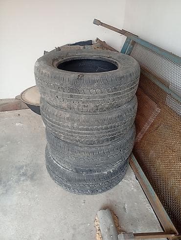 элтз 60: Шиналар 225 / 65 / R 16, Жай, Колдонулган, Комплект, Жеңил коммерциялык транспорт (C/LT), Nexen — 3