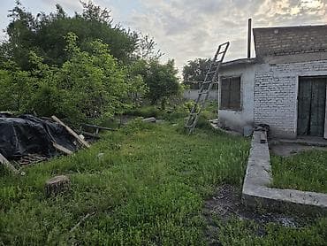 Жер тилкелери: 52 соток, Бизнес үчүн, Кызыл китеп — 7