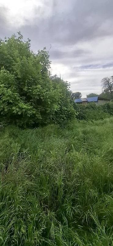 аренда земельный участок: 12 соток Для бизнеса, Электричество, Водопровод, Канализация — 2