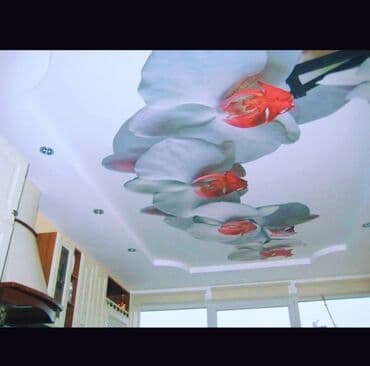 фикус большой: Натяжной потолок Глянцевое, Матовое, 3D потолки Гарантия, Бесплатная консультация, Бесплатный замер — 6