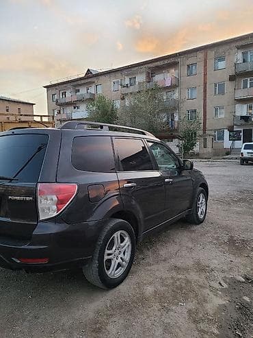 Subaru Forester: 2009 г., 2.5 л, Автомат, Бензин, Кроссовер — 3