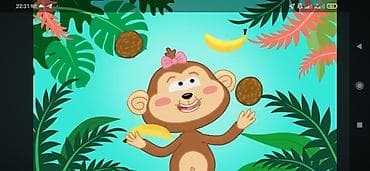 сдаю квартира 8000: 1 комната, Без подселения — 1