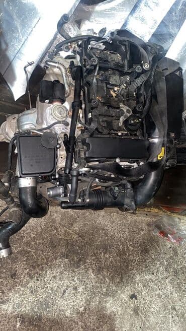 хофитол сироп купить в бишкеке: Ноускат Mercedes-Benz, 2012 г., Б/у, Оригинал — 2