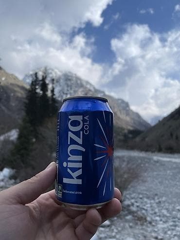 банки для консервации купить: Kinza Cola — газированный безалкогольный напиток в алюминиевой банке — 3