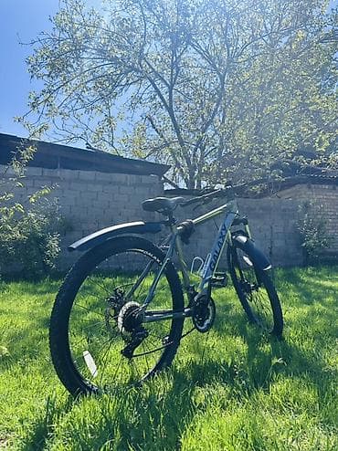 билы: Горный велосипед, Galaxy, Алюминий — 6