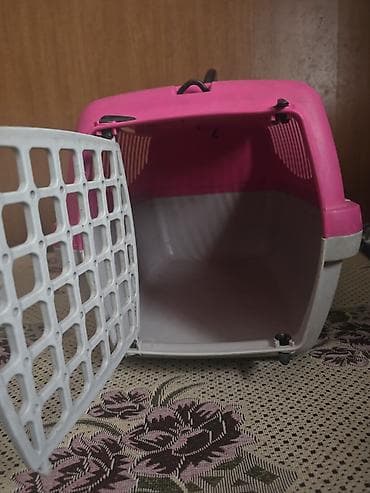 Услуги ветеринара: Переноска для кошек и мелких собак - Тип: жесткая пластиковая — 2