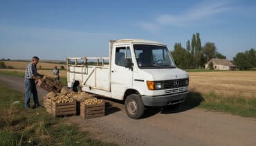 Mercedes-Benz T1: 1989 г., 2.4 л, Механика, Дизель, Бус at lalafo.kg Mercedes-Benz T1: 1989 г., 2.4 л, Механика, Дизель, Бус