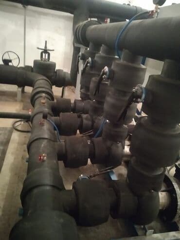 диплом корочка: Больше 6 лет опыта — 5