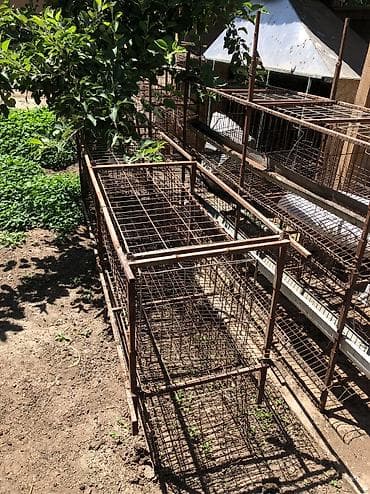 Үй жаныбарлары үчүн товарлар: Продаю клетки для несушек на 128 голов цена 15 тысяч в комплекте нету — 2