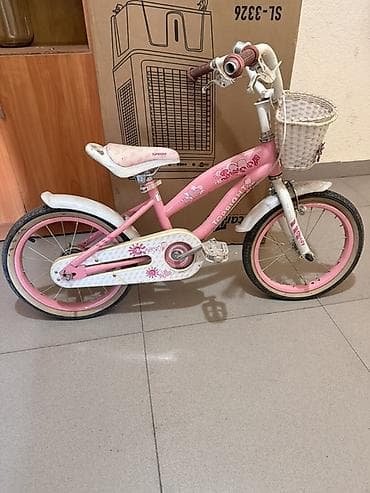 диски ромашка 16: Детский велосипед, 2-колесный, 4 - 6 лет, Для девочки — 1